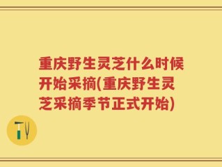 重庆野生灵芝什么时候开始采摘(重庆野生灵芝采摘季节正式开始)