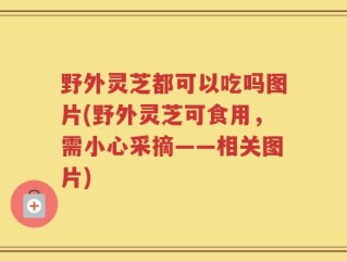 野外灵芝都可以吃吗图片(野外灵芝可食用，需小心采摘——相关图片)