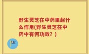 野生灵芝在中药里起什么作用(野生灵芝在中药中有何功效？)