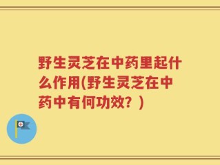 野生灵芝在中药里起什么作用(野生灵芝在中药中有何功效？)