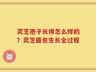 灵芝孢子长得怎么样的？灵芝菌包生长全过程