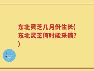 东北灵芝几月份生长(东北灵芝何时能采摘？)