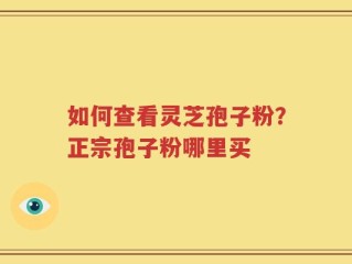 如何查看灵芝孢子粉？正宗孢子粉哪里买