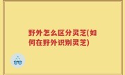 野外怎么区分灵芝(如何在野外识别灵芝)