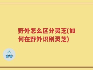野外怎么区分灵芝(如何在野外识别灵芝)