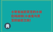 小孽龙追赶灵芝的小说在线阅读(小追龙与灵芝的追赶之旅)