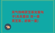 天气热喝灵芝茶文案句子(炎炎夏日 泡一壶灵芝茶，舒爽一夏)
