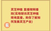 灵芝种植 直播视频播放(实地探访灵芝种植现场直播，助你了解如何发展灵芝产业)