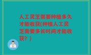 人工灵芝需要种植多久才能收获(种植人工灵芝需要多长时间才能收获？)