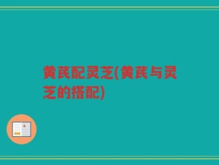 黄芪配灵芝(黄芪与灵芝的搭配)