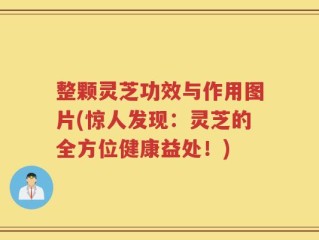 整颗灵芝功效与作用图片(惊人发现：灵芝的全方位健康益处！)