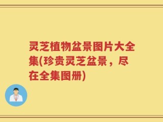 灵芝植物盆景图片大全集(珍贵灵芝盆景，尽在全集图册)