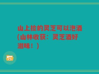 山上捡的灵芝可以泡酒(山林收获：灵芝酒好滋味！)