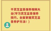 干灵芝盆景保养视频大全(学习灵芝盆景保养技巧，全面掌握灵芝盆景养护方法！)