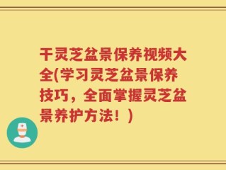 干灵芝盆景保养视频大全(学习灵芝盆景保养技巧，全面掌握灵芝盆景养护方法！)
