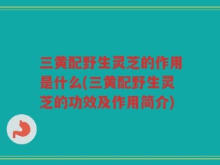 三黄配野生灵芝的作用是什么(三黄配野生灵芝的功效及作用简介)