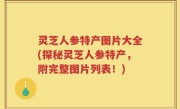 灵芝人参特产图片大全(探秘灵芝人参特产，附完整图片列表！)