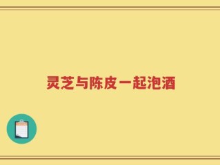 灵芝与陈皮一起泡酒