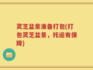 灵芝盆景准备打包(打包灵芝盆景，托运有保障)