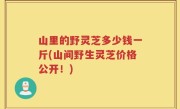 山里的野灵芝多少钱一斤(山间野生灵芝价格公开！)