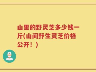 山里的野灵芝多少钱一斤(山间野生灵芝价格公开！)