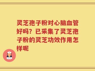 灵芝孢子粉对心脑血管好吗？已采集了灵芝孢子粉的灵芝功效作用怎样呢