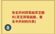 有名药材简笔画灵芝图片(灵芝简笔画图，著名中药材的代表)