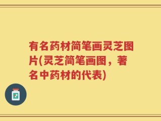 有名药材简笔画灵芝图片(灵芝简笔画图，著名中药材的代表)