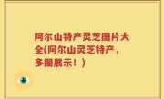 阿尔山特产灵芝图片大全(阿尔山灵芝特产，多图展示！)