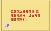 灵芝怎么养开花多(灵芝养殖技巧：让它开花如此简单！)