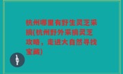 杭州哪里有野生灵芝采摘(杭州野外采摘灵芝攻略，走进大自然寻找宝藏)
