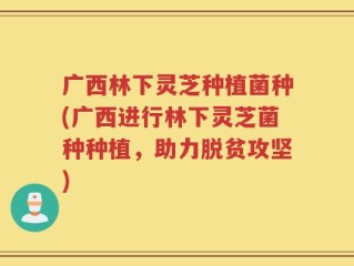 广西林下灵芝种植菌种(广西进行林下灵芝菌种种植，助力脱贫攻坚)