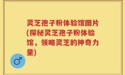 灵芝孢子粉体验馆图片(探秘灵芝孢子粉体验馆，领略灵芝的神奇力量)