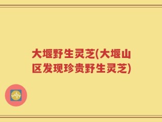 大堰野生灵芝(大堰山区发现珍贵野生灵芝)
