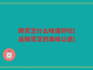 鲜灵芝什么味道好吃(品鲜灵芝的美味口感)
