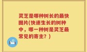 灵芝是哪种树长的最快图片(快速生长的树种中，哪一种树是灵芝最常见的寄主？)