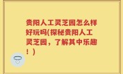 贵阳人工灵芝园怎么样好玩吗(探秘贵阳人工灵芝园，了解其中乐趣！)