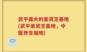 武平最大的紫灵芝基地(武平紫灵芝基地，中医养生福地)