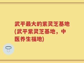 武平最大的紫灵芝基地(武平紫灵芝基地，中医养生福地)