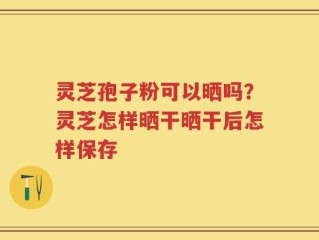 灵芝孢子粉可以晒吗？灵芝怎样晒干晒干后怎样保存