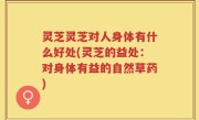 灵芝灵芝对人身体有什么好处(灵芝的益处：对身体有益的自然草药)