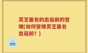 灵芝菌包的出菇前的管理(如何管理灵芝菌包出菇前？)