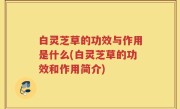 白灵芝草的功效与作用是什么(白灵芝草的功效和作用简介)