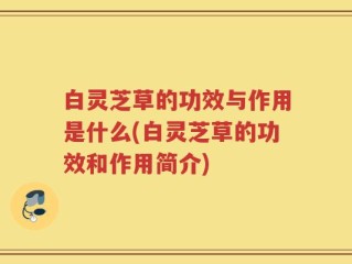 白灵芝草的功效与作用是什么(白灵芝草的功效和作用简介)