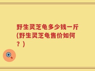 野生灵芝龟多少钱一斤(野生灵芝龟售价如何？)