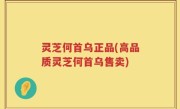 灵芝何首乌正品(高品质灵芝何首乌售卖)