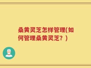 桑黄灵芝怎样管理(如何管理桑黄灵芝？)