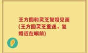王方圆和灵芝复婚见面(王方圆灵芝重逢，复婚近在眼前)