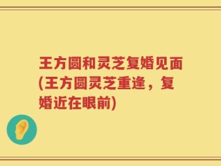 王方圆和灵芝复婚见面(王方圆灵芝重逢，复婚近在眼前)