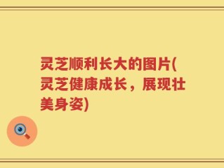 灵芝顺利长大的图片(灵芝健康成长，展现壮美身姿)